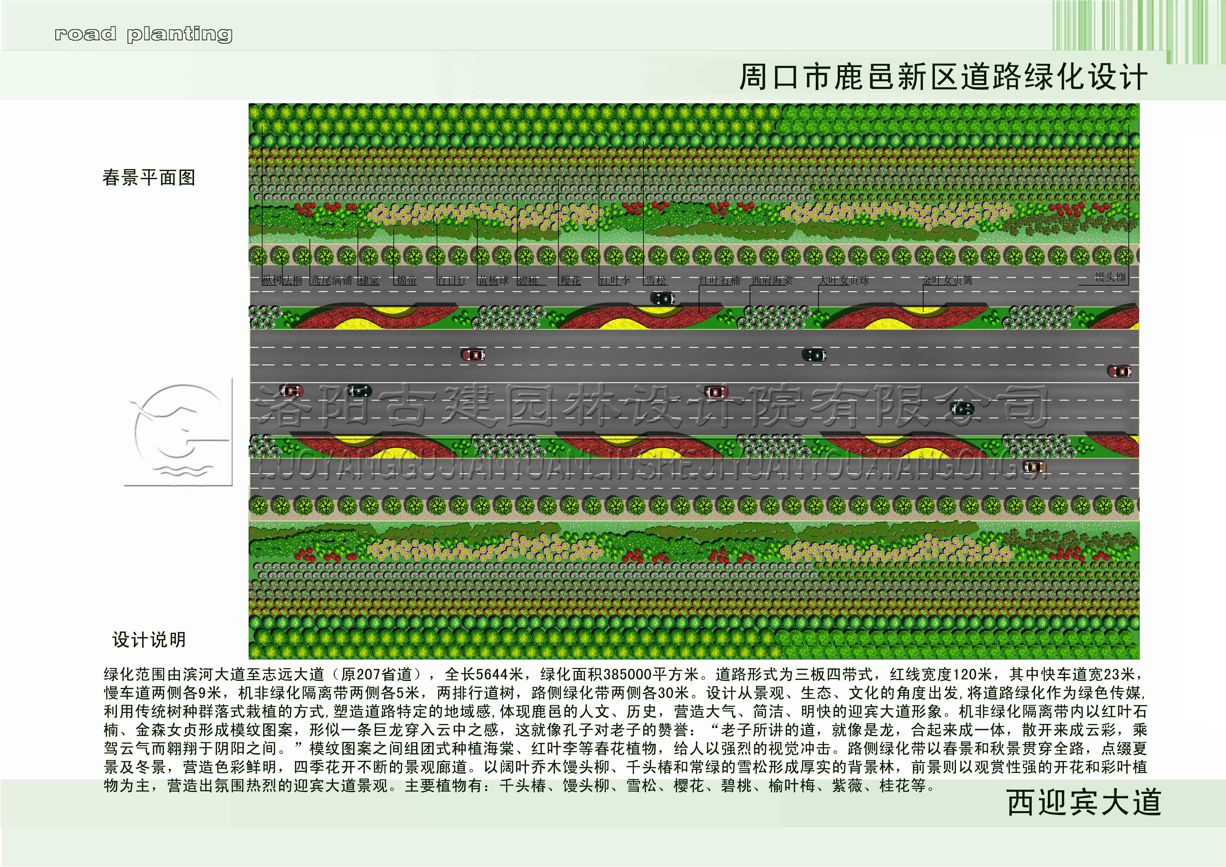 1608106486536374.jpg 656.jpg