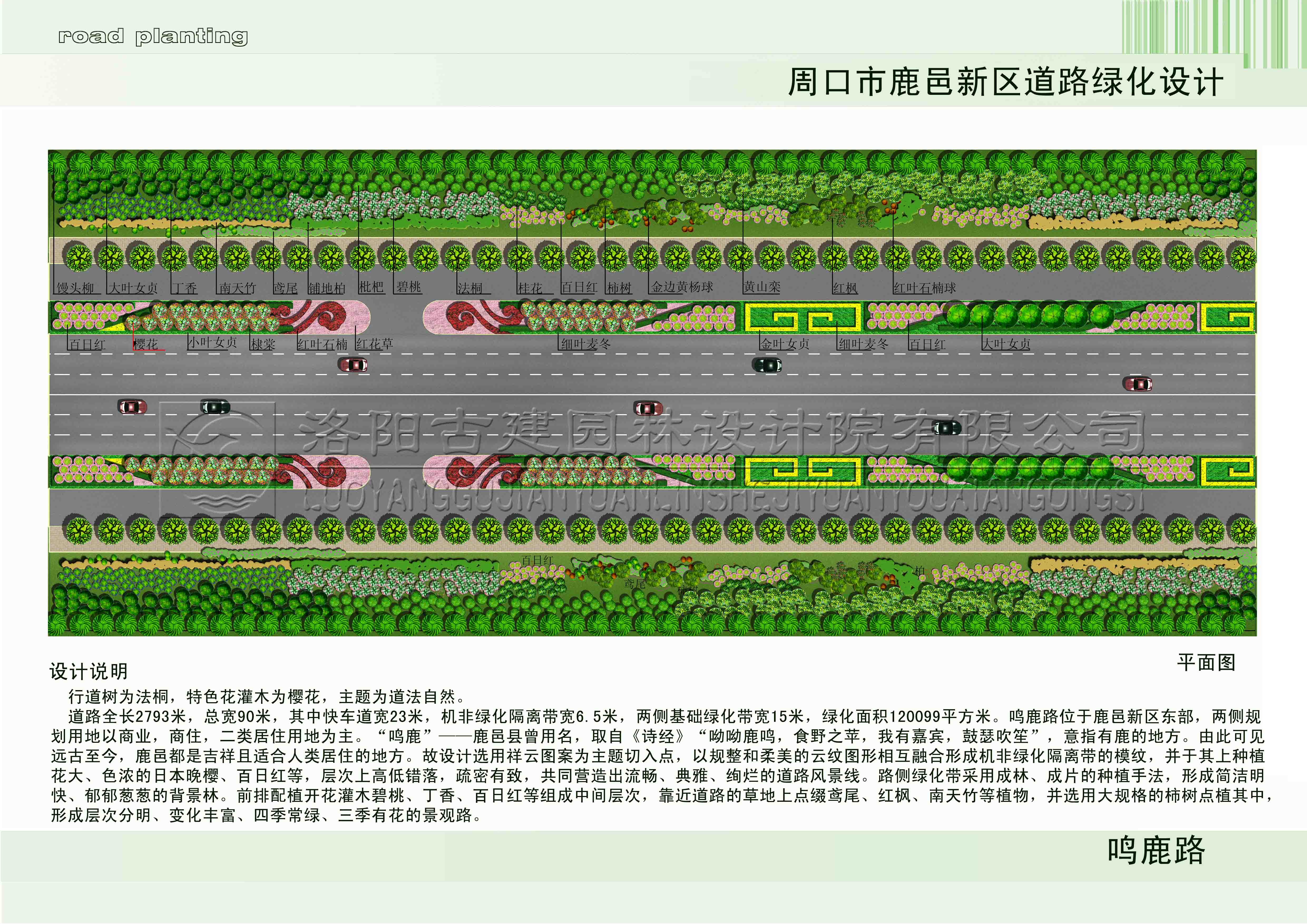 1608106777605992.jpg 899.jpg